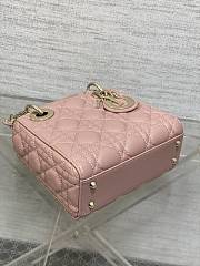 Dior Classic Lady Diana Ball Pattern Retro Pink Gold Button 17cm - 6