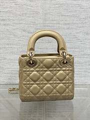 Dior Classic Lady Diana Ball Pattern Retro Apricot Gold Button 17cm - 6