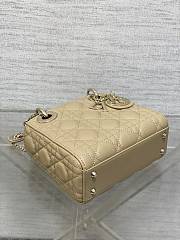 Dior Classic Lady Diana Ball Pattern Retro Apricot Gold Button 17cm - 5