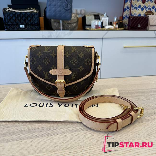 Louis Vuitton Saumur BB Bag Brown 20x16x7cm - 1