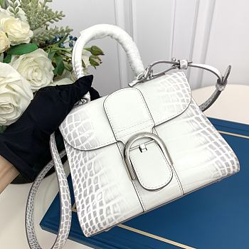 Delvaux Himalaya Brillant Bag 24x13x21cm 