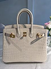 Hermes Birkin American Pearl Grey 30cm - 1