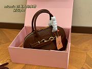 Miumiu Shell Brown Bag 28*16cm - 3