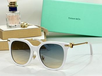 TIFFANY&Co.TF5006