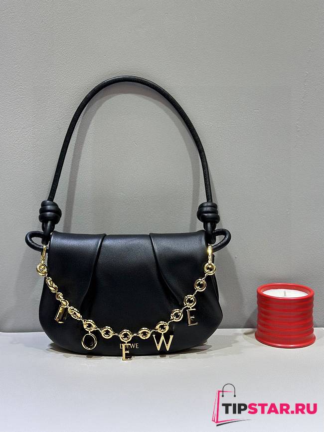 Loewe Bag In Black 25x17x8cm - 1