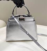 Fendi Peekaboo Mini Silvery 23cm x 18cm x 11cm - 1