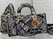 Dior D-roy Horizontal Paris Map Bag 26*13.5*5cm - 1