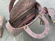 Dior Lady's Latest Pink and Gray Sauvage Rue Pink Bag 24cm - 6