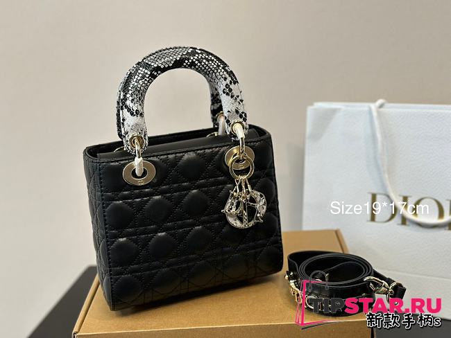 Dior Lambskin Lady Dior Bag 20CM - 1