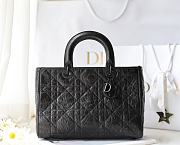 Lady D-Sire Handbag Large Bag 30 x 20 x 13 cm - 2