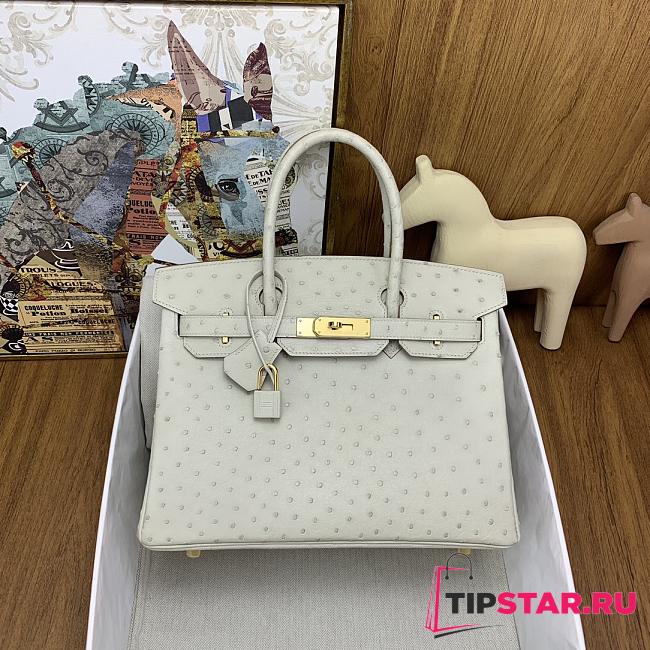 Hermes Birkin 30cm Gray Bag  - 1