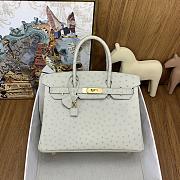 Hermes Birkin 30cm Gray Bag  - 1