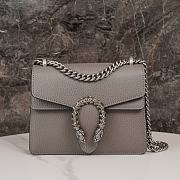 Gucci Dionysus Mini Grey Bag 20*15.5*5cm - 1