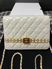 CHANEL Chain Clutch OffWhite Bag 19CM - 1