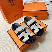 Hermes Grey Erjiu Shoes - 1