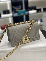 Chanel Leboy Caviar Light Gray 20cm - 1