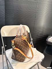 LV Dumpling Bag 29X28CM   - 4