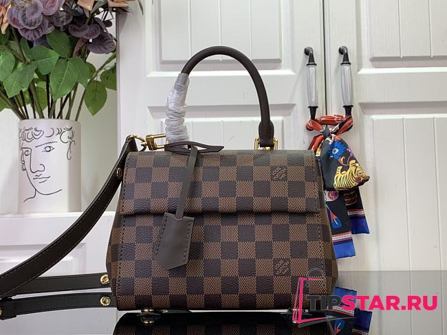 LV N00097 Cluny Mini Handbag 20 x 16 x 7.5 cm - 1