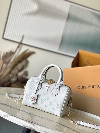 LV Speedy Bandouliere 20 Handbag White Grey 20.5 × 13.5 × 12 cm