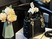 Dior's new 3D Princess Diana bag 20CM  - 1