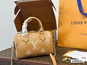 LV  classic speedy bag 20cm - 1