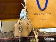 LV  classic speedy bag 20cm - 2