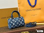 LV  Classic Speedy Bag 16cm  - 4