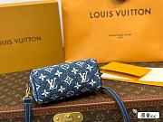 LV  Classic Speedy Bag 16cm  - 2