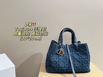 Dior Toujours Medium Handbag 30x20cm