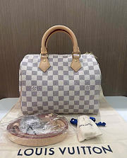 LV Speedy Bandoulière 25 Damier Azur Canvas Size 25x19x15 cm - 1