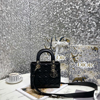 Dior Lady Bag In Black Color