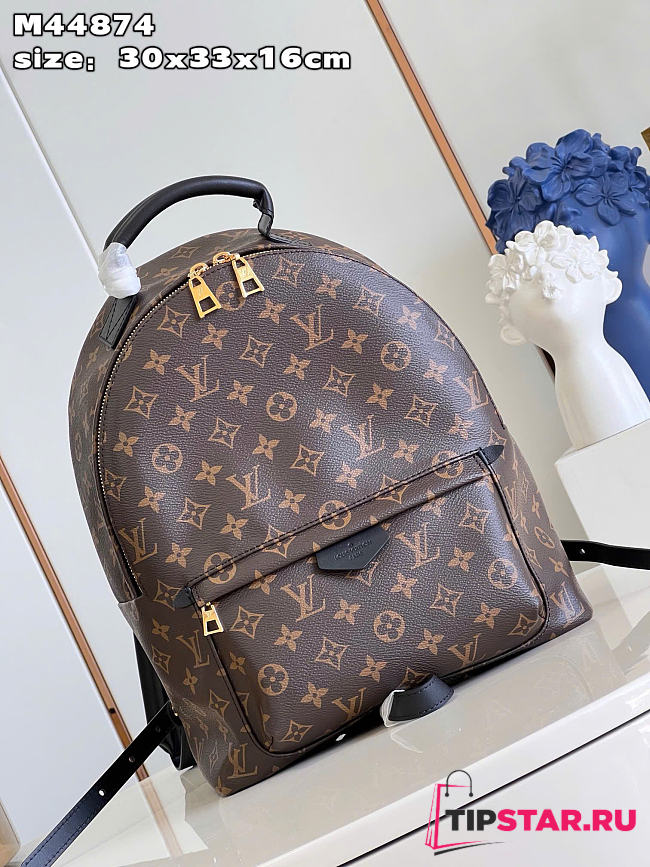 Louis Vuitton Palm Springs MM Backpack Material Monogram Canvas - 1