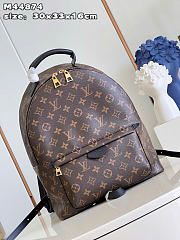 Louis Vuitton Palm Springs MM Backpack Material Monogram Canvas - 1