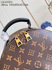 Louis Vuitton Palm Springs MM Backpack Material Monogram Canvas - 4