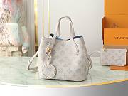 Louis Vuitton Blossom PM Bag Brume Gray  - 1