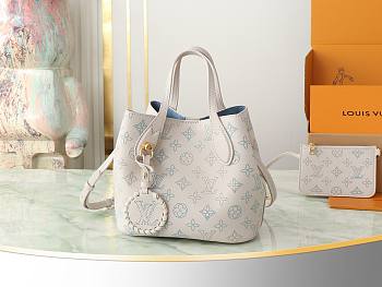 Louis Vuitton Blossom PM Bag Brume Gray 