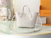 Louis Vuitton Blossom PM Bag Brume Gray  - 3