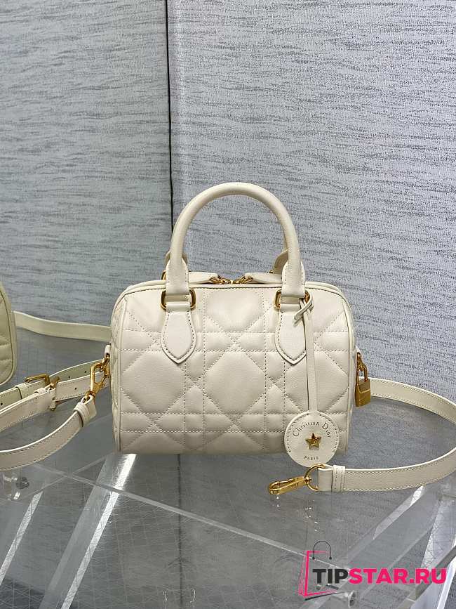 Dior Groove 20 Bag Dusty Ivory Macrocannage Color Calfskin - 1