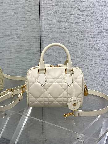 Dior Groove 20 Bag Dusty Ivory Macrocannage Color Calfskin