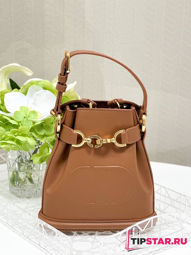 Dior Small C'est Dior Bag CD-Embossed Calfskin Brown - 1