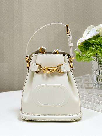 Dior Small C'est Dior Bag CD-Embossed Calfskin White