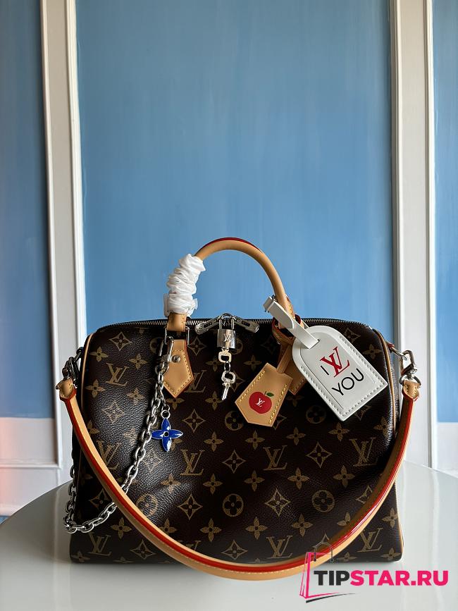 Louis Vuitton Speedy Soft 30 Crafty Monogram - 1