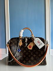 Louis Vuitton Speedy Soft 30 Crafty Monogram - 1