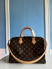 Louis Vuitton Speedy Soft 30 Crafty Monogram - 5