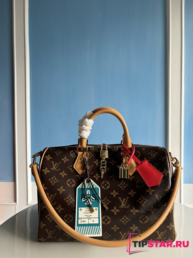 Louis Vuitton Speedy Soft 30 Crafty M11945 - 1