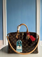 Louis Vuitton Speedy Soft 30 Crafty M11945 - 1