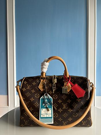 Louis Vuitton Speedy Soft 30 Crafty M11945