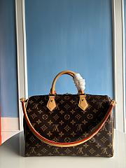 Louis Vuitton Speedy Soft 30 Crafty M11945 - 2