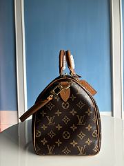 Louis Vuitton Speedy Soft 30 Boho N87212 - 2