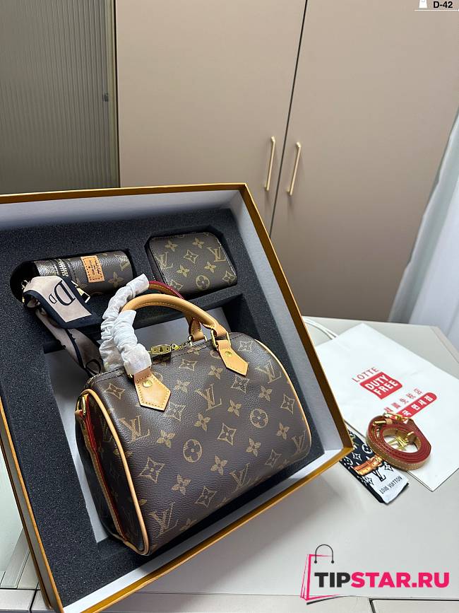 Louis Vuitton Speedy 20 and Wallet Collection - 1